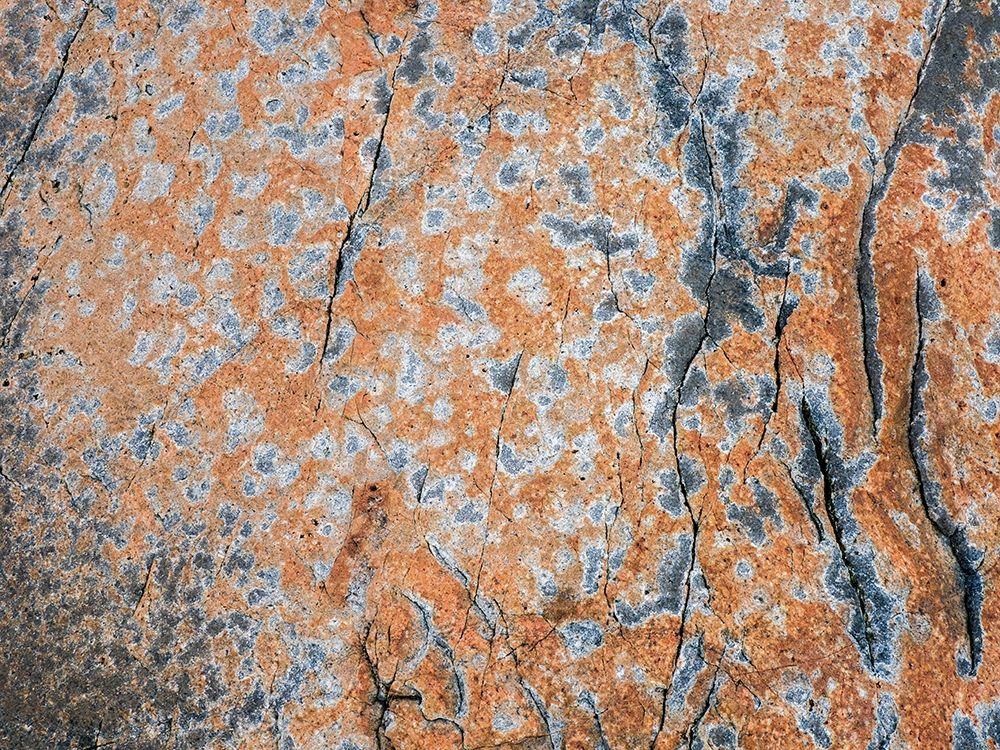 Maine Patterns on rock on the beach near Thunder Hole in Acadia National Park